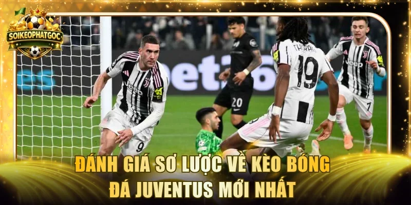 Đánh giá sơ lược về kèo bóng đá Juventus mới nhất