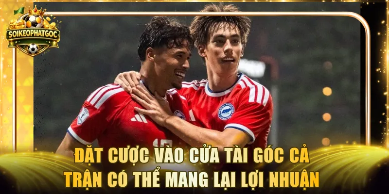 Đặt cược vào cửa Tài góc cả trận có thể mang lại lợi nhuận