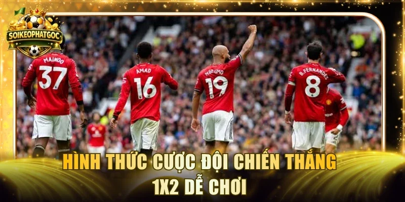 Hình thức cược đội chiến thắng 1X2 dễ chơi