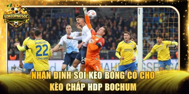 Nhận định soi kèo bóng cỏ cho kèo chấp HDP Bochum