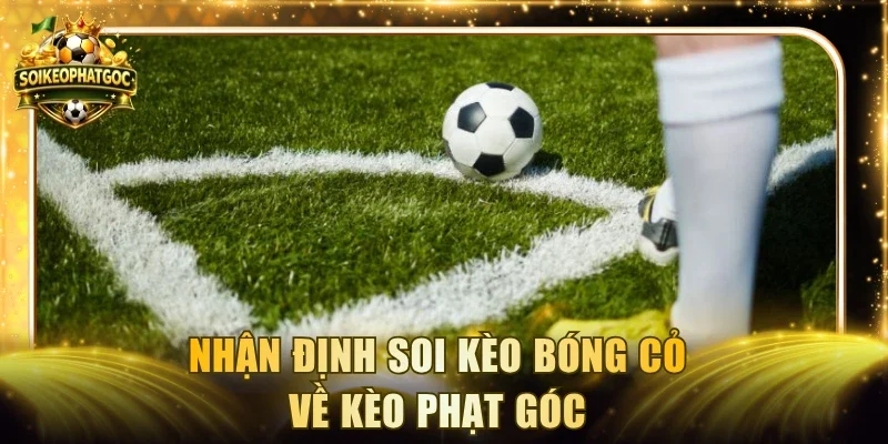 Nhận định soi kèo bóng cỏ về kèo phạt góc