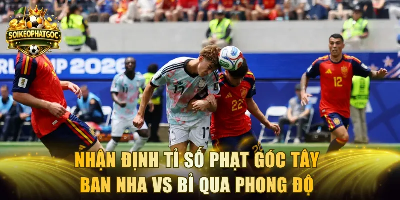 Nhận định tỉ số phạt góc Tây Ban Nha vs Bỉ qua dữ liệu gần đây