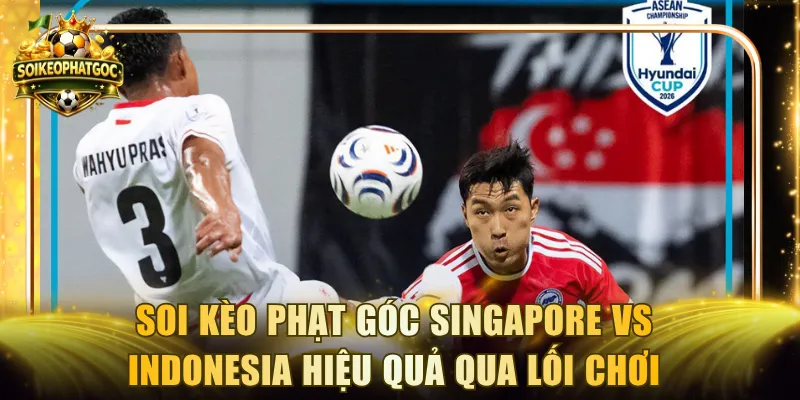 Soi kèo phạt góc Singapore vs Indonesia hiệu quả qua lối chơi