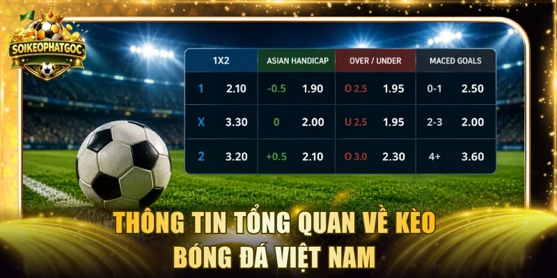 Thông tin tổng quan về kèo bóng đá Việt Nam
