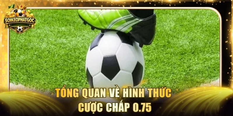 Tổng quan về hình thức cược chấp 0.75