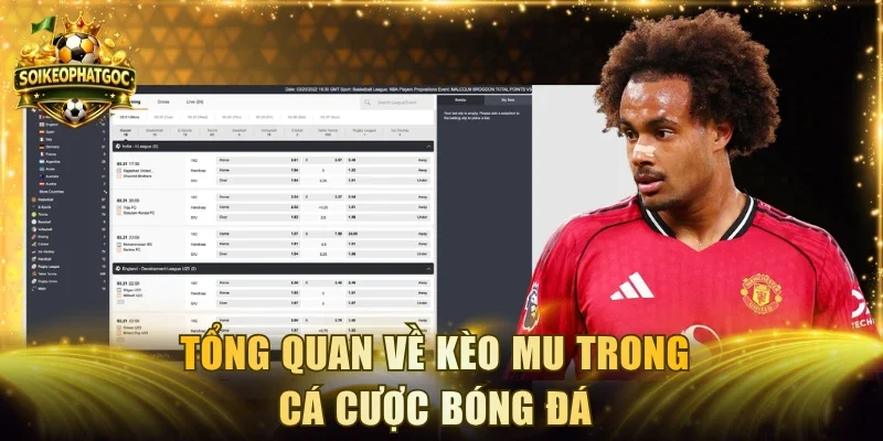 Tổng quan về kèo MU trong cá cược bóng đá