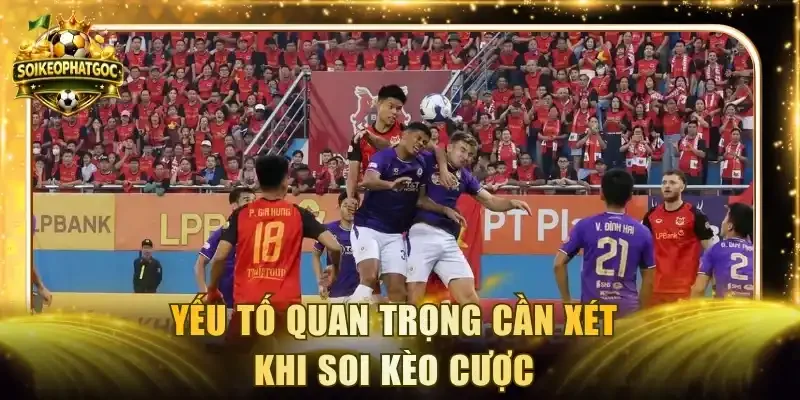 Yếu tố quan trọng cần xét khi soi kèo cược